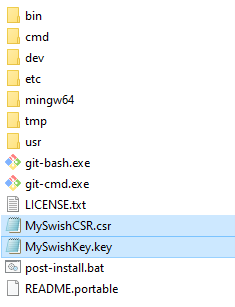Generated certificate files